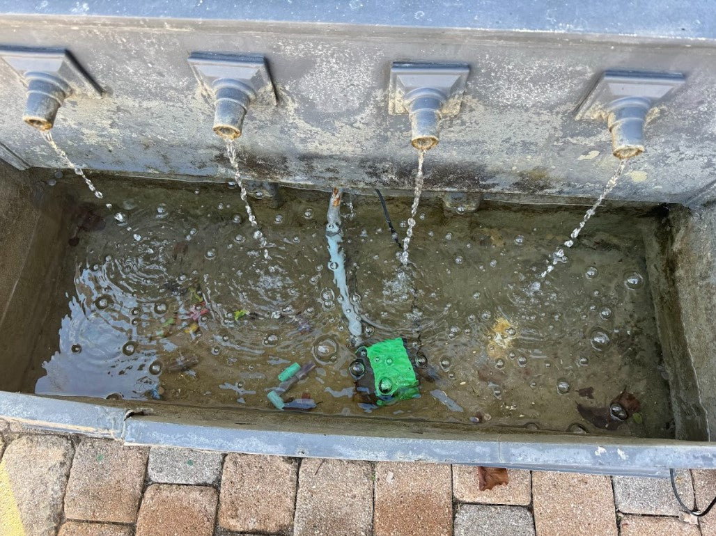 Pond after a year - clear of algae rom the magsert water conditioner
